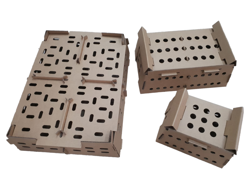 Chick Transport Boxes