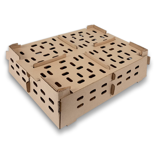 CHICK BOX PLAIN KRAFT 100